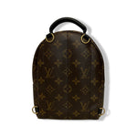 Load image into Gallery viewer, Lv palm spring mini backpack
