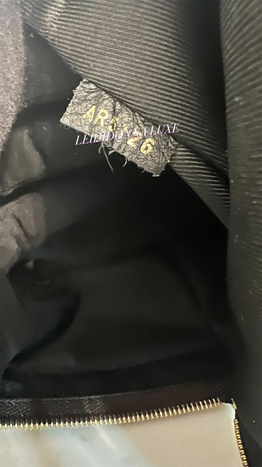 Lv palm spring mini backpack