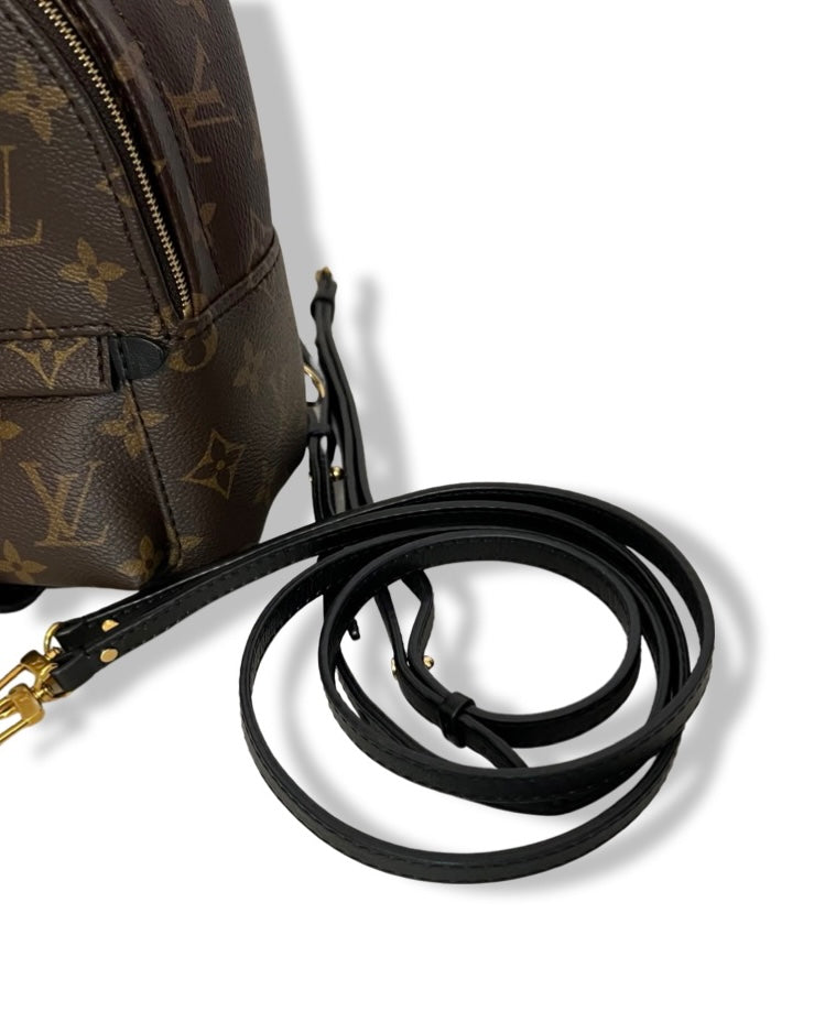 Lv palm spring mini backpack