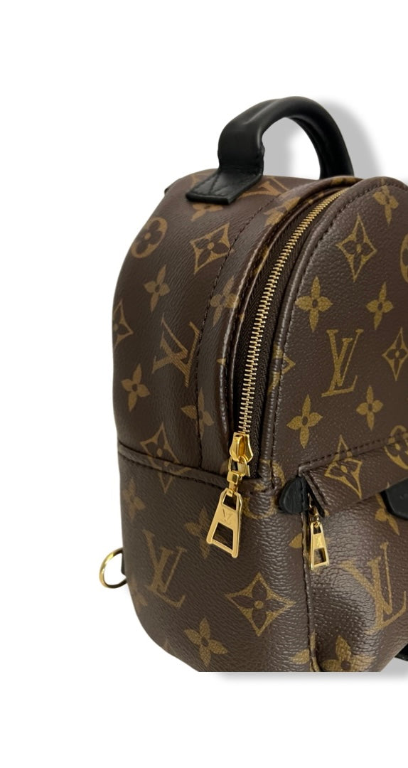 Lv palm spring mini backpack