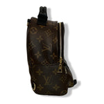 Load image into Gallery viewer, Lv palm spring mini backpack
