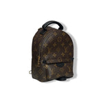 Load image into Gallery viewer, LOUIS VUITTON PALM SPRING MINI BACKPACK
