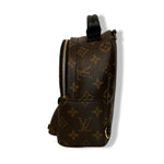 Load image into Gallery viewer, Lv palm spring mini backpack
