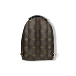 Load image into Gallery viewer, LOUIS VUITTON PALM SPRING MINI BACKPACK
