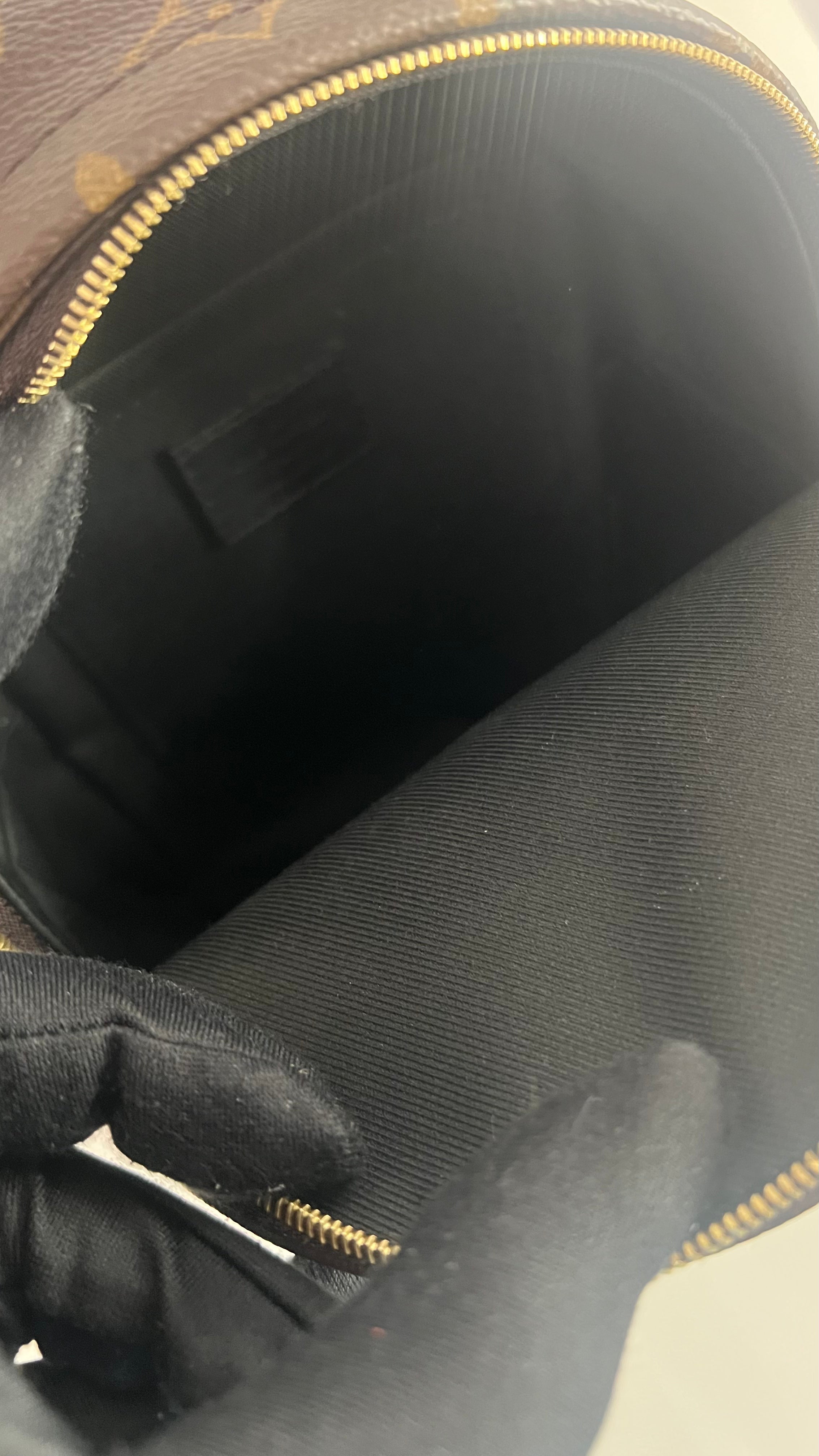 Louis vuitton palm spring mini backpack