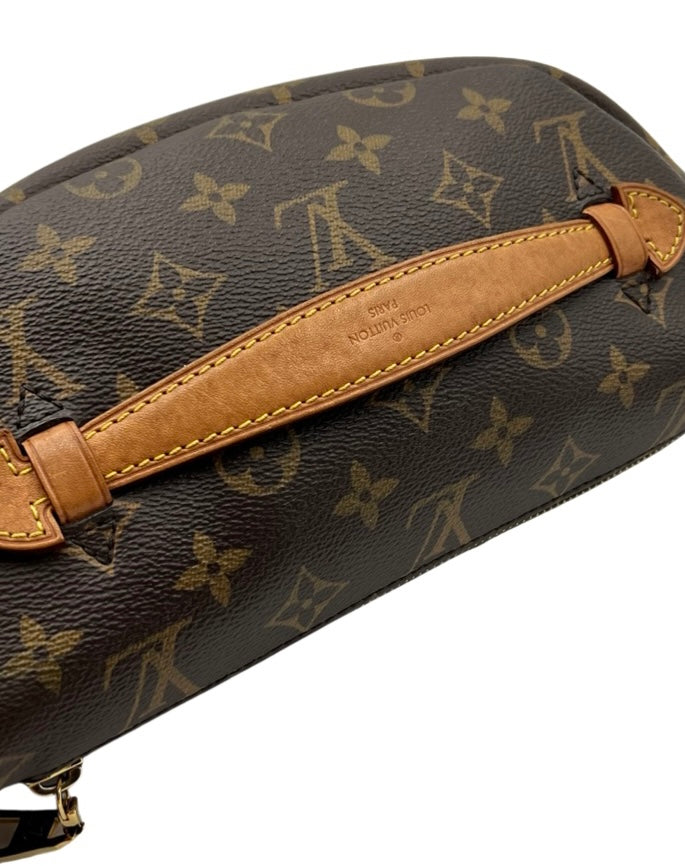 Louis Vuitton Monogram Bumbag