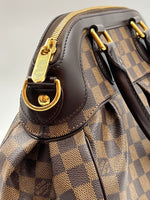 Load image into Gallery viewer, Louis vuitton trevi pm
