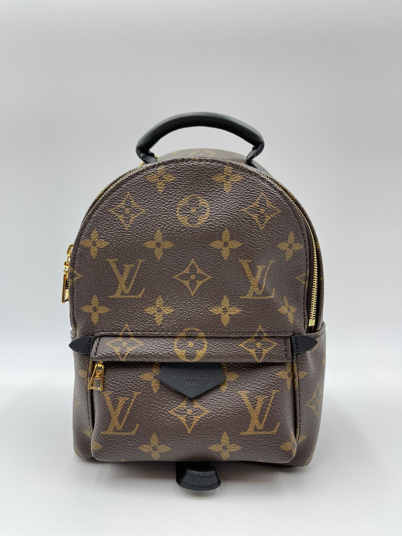 Louis vuitton palm spring mini