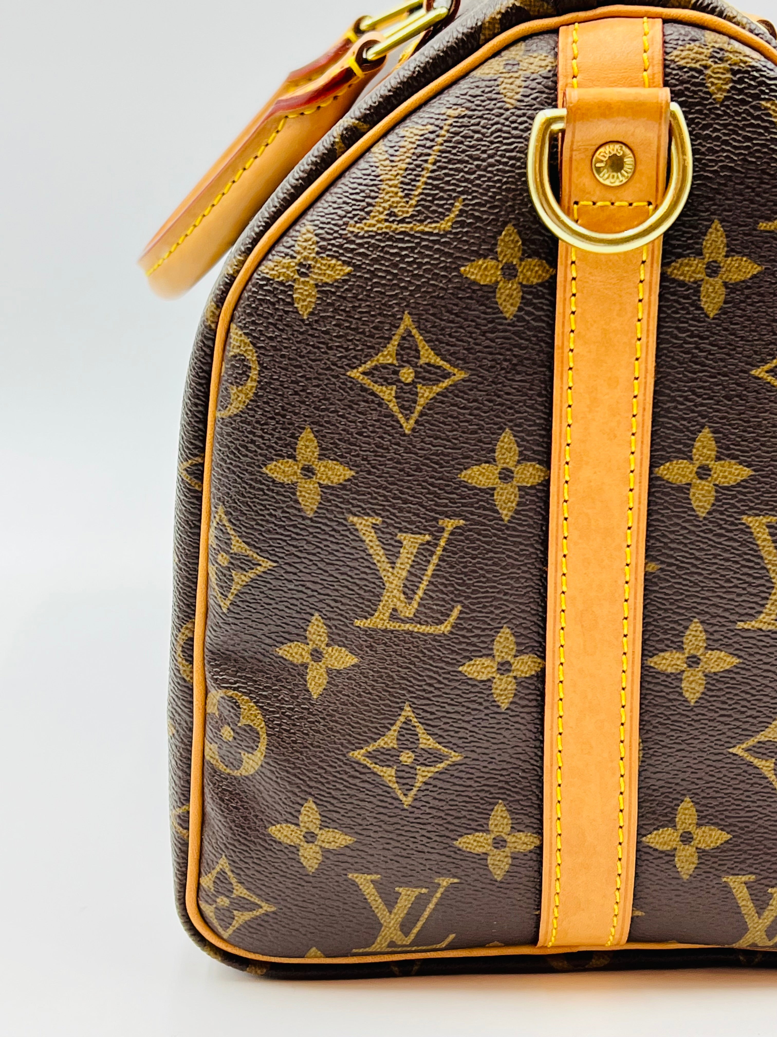 Louis vuitton speedy30 bandouliere world tour