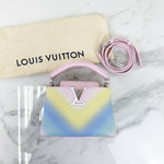 Load image into Gallery viewer, Louis Vuitton Capucine Mini
