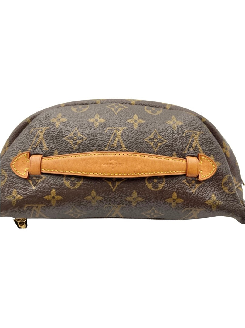 Louis Vuitton Monogram Bumbag