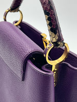 Load image into Gallery viewer, LOUIS VUITTON CAPUCINE BB, EXOTIC
