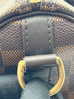 Charger l&#39;image dans la galerie, Louis vuitton speedy 25 bandouliere
