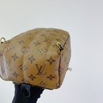 Load image into Gallery viewer, Louis vuitton palm spring mini
