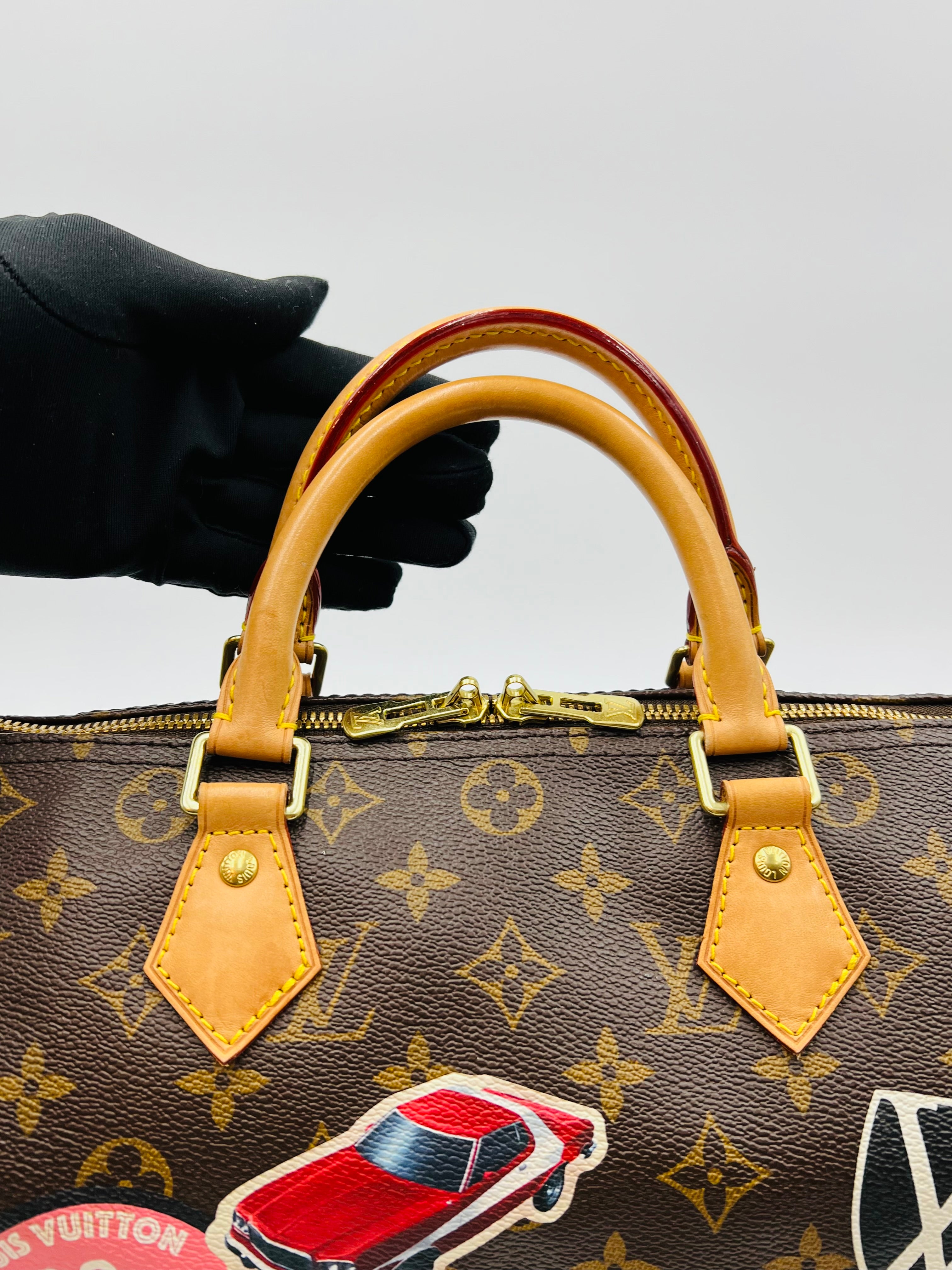 Louis vuitton speedy30 bandouliere world tour