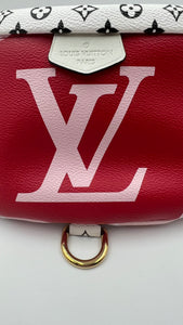 Lv monogram giant collection