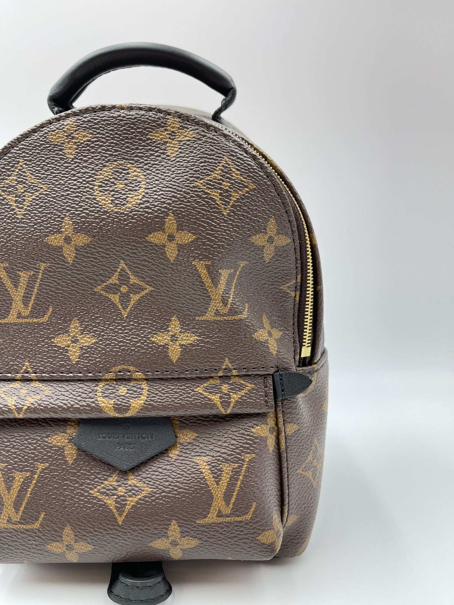 Louis vuitton palm spring mini