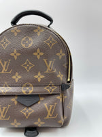 Load image into Gallery viewer, Louis vuitton palm spring mini
