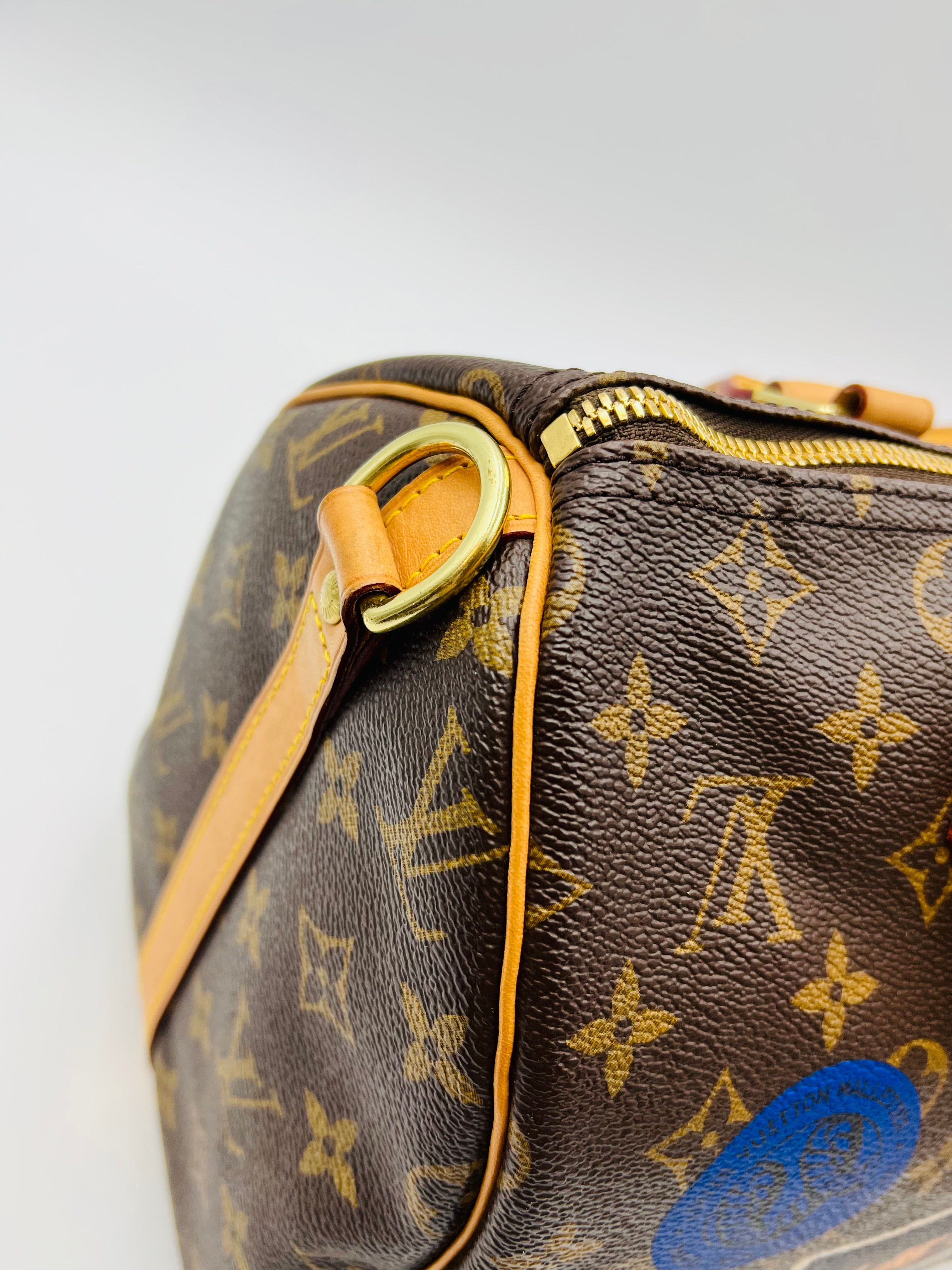 Louis vuitton speedy30 bandouliere world tour