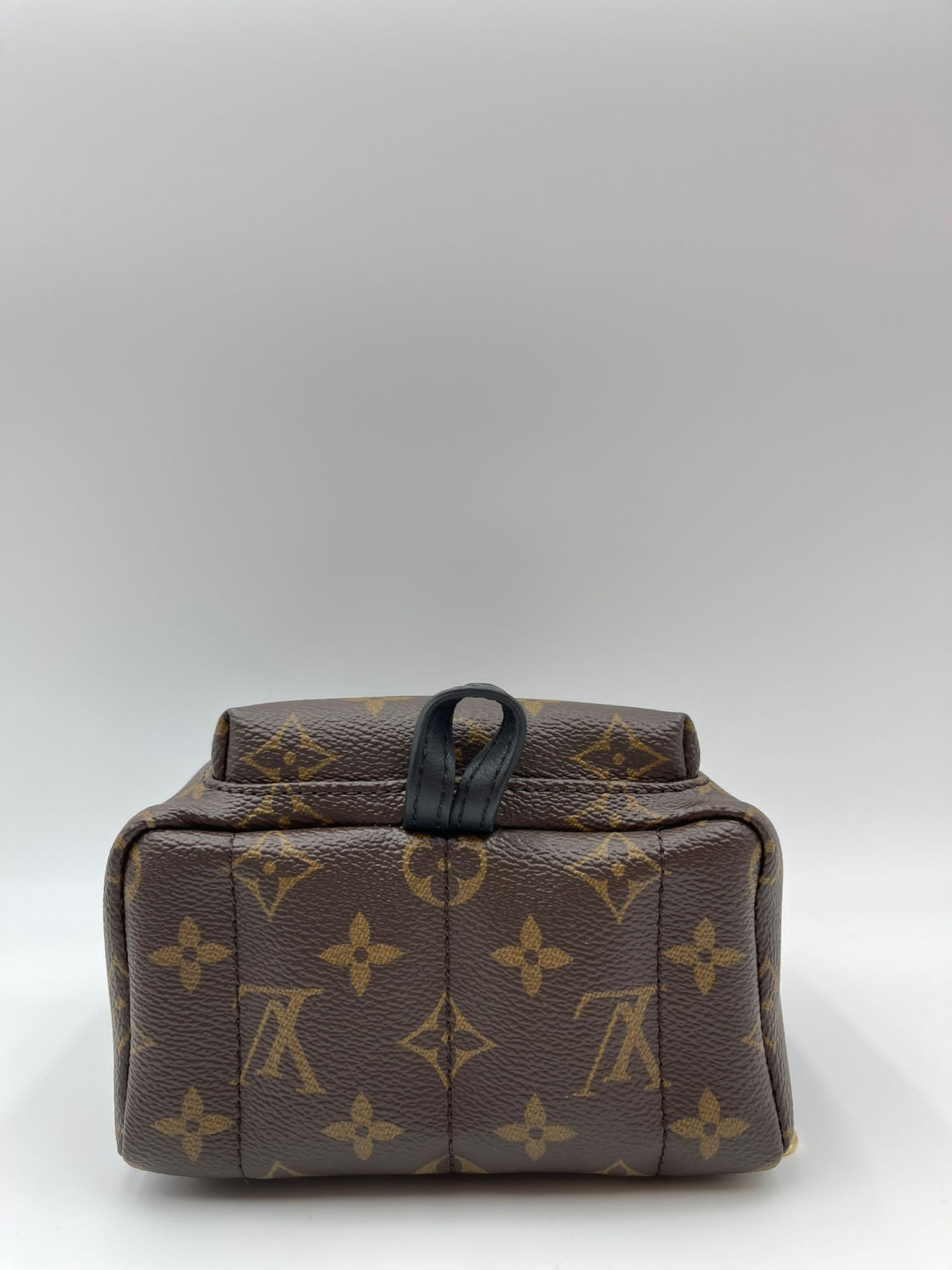 Louis vuitton palm spring mini