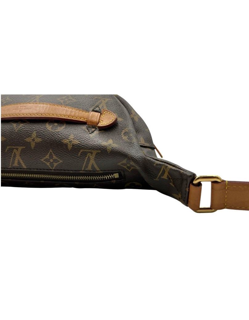 Louis Vuitton Monogram Bumbag