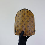 Load image into Gallery viewer, LOUIS VUITTON Palm Spring Mini
