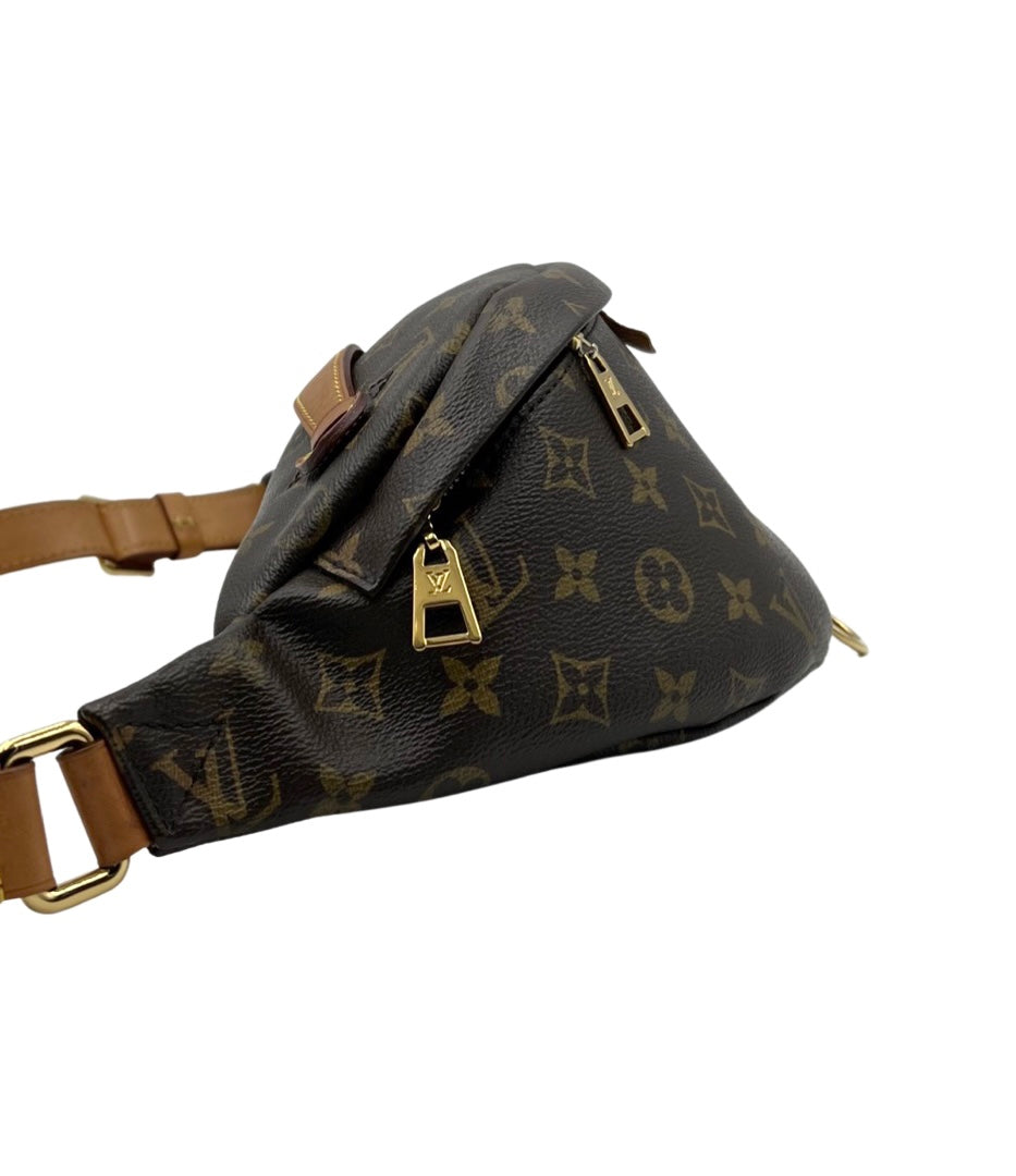 Louis Vuitton Monogram Bumbag