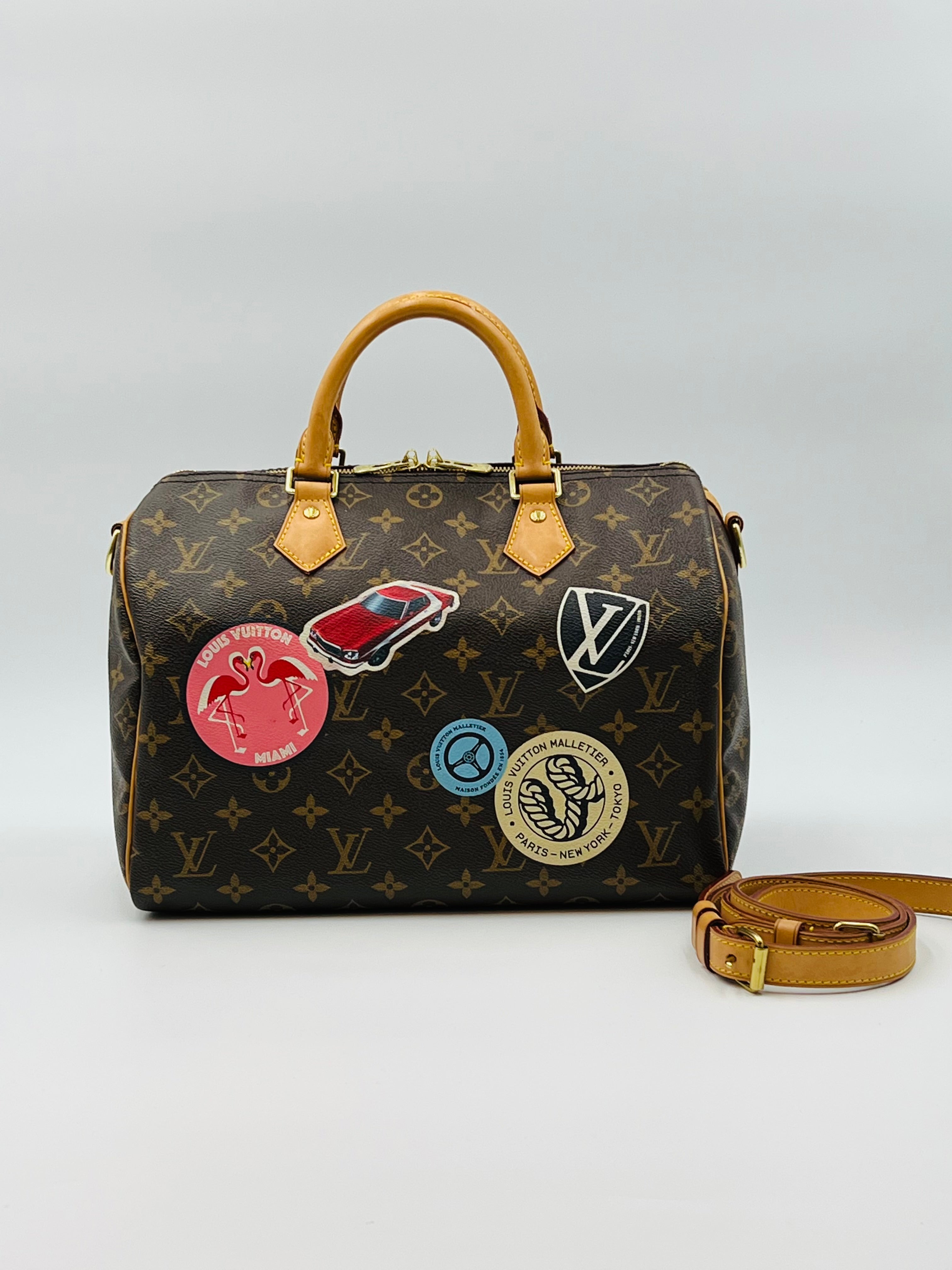 Louis vuitton speedy30 bandouliere world tour