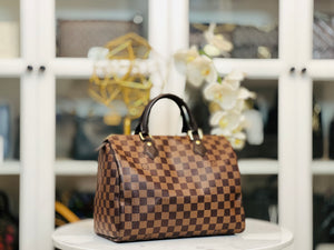 Louis vuitton speedy