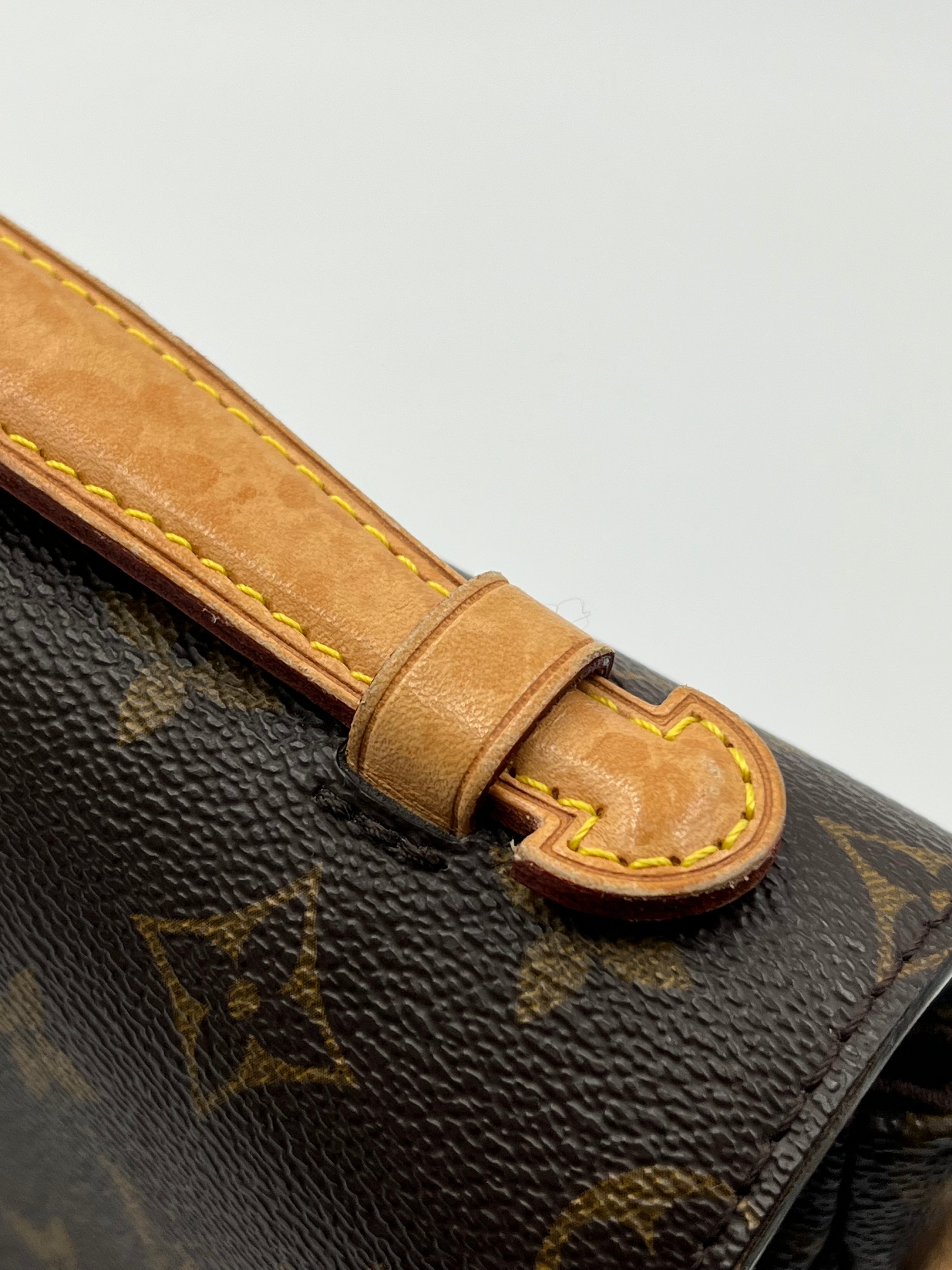 Louis vuitton pochete metis