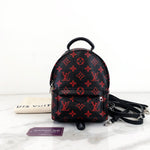 Load image into Gallery viewer, Louis vuitton palm spring mini infrarouge
