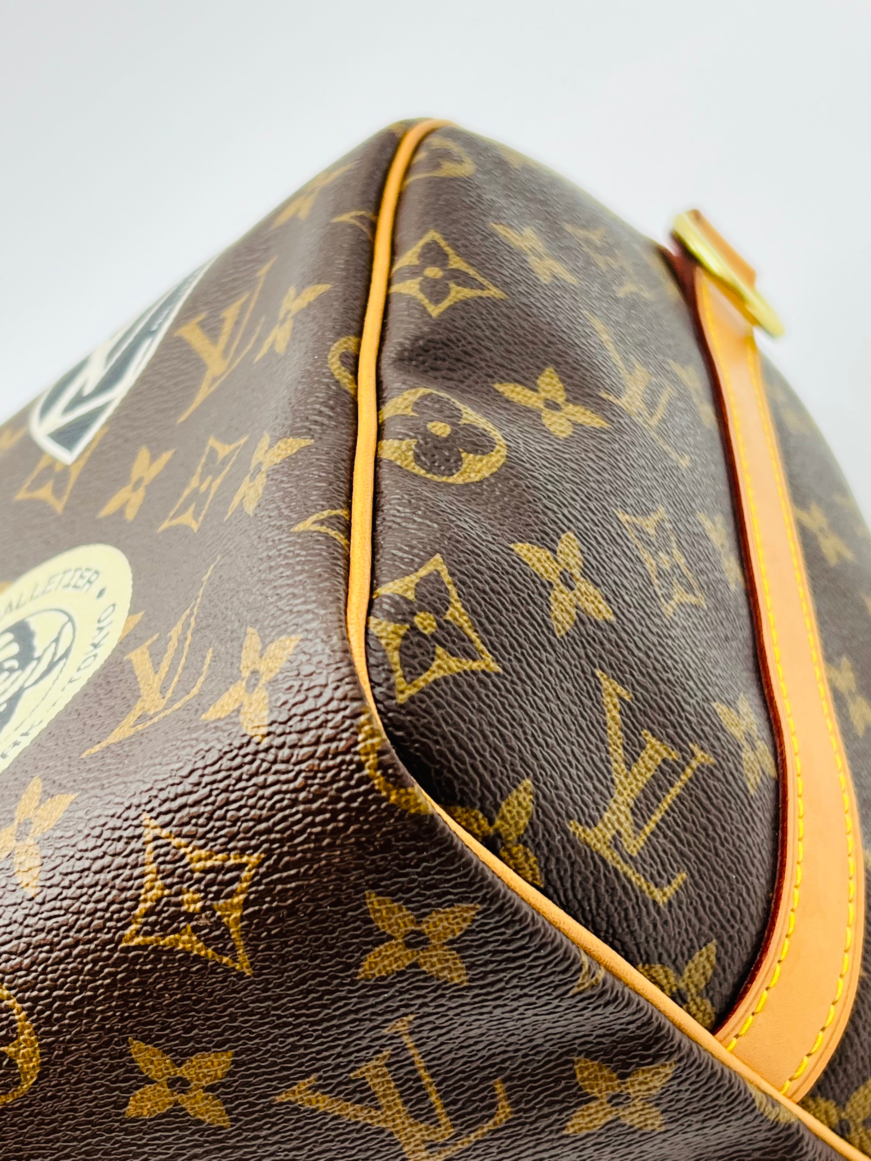 Louis vuitton speedy30 bandouliere world tour