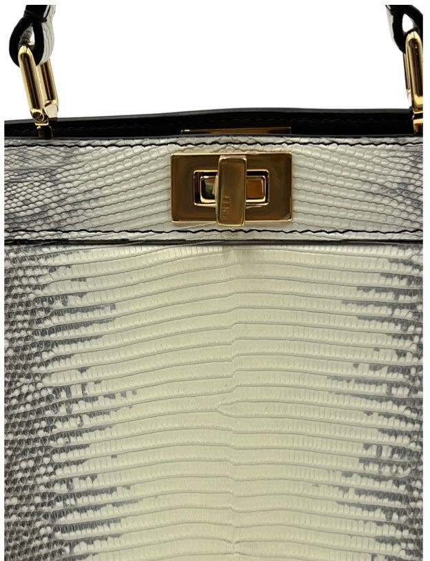 Fendi Peekaboo Isseu