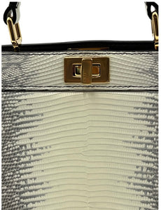 Fendi Peekaboo Isseu