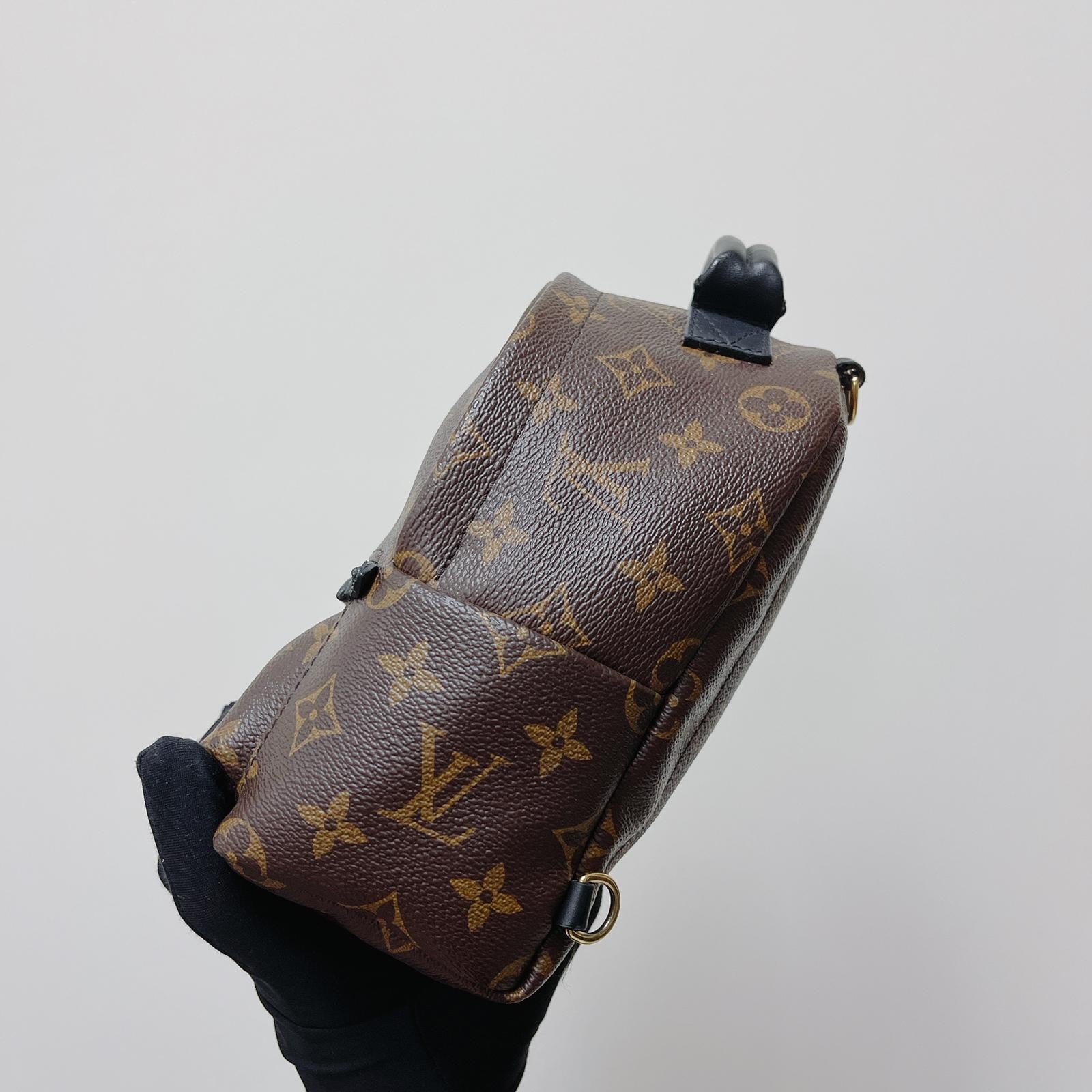 Lv palm spring mini