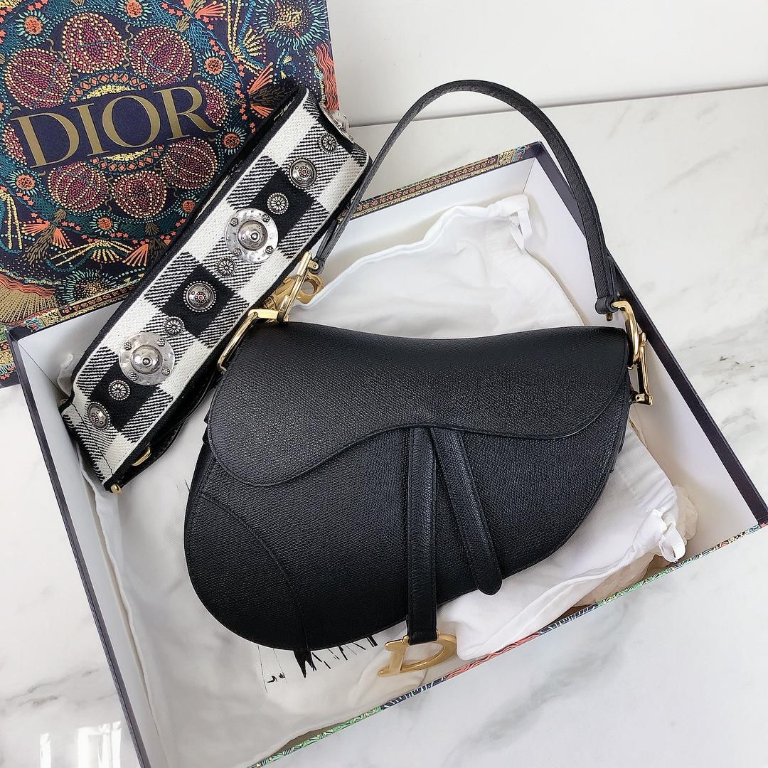 Christian Dior Saddle Bag and Strap