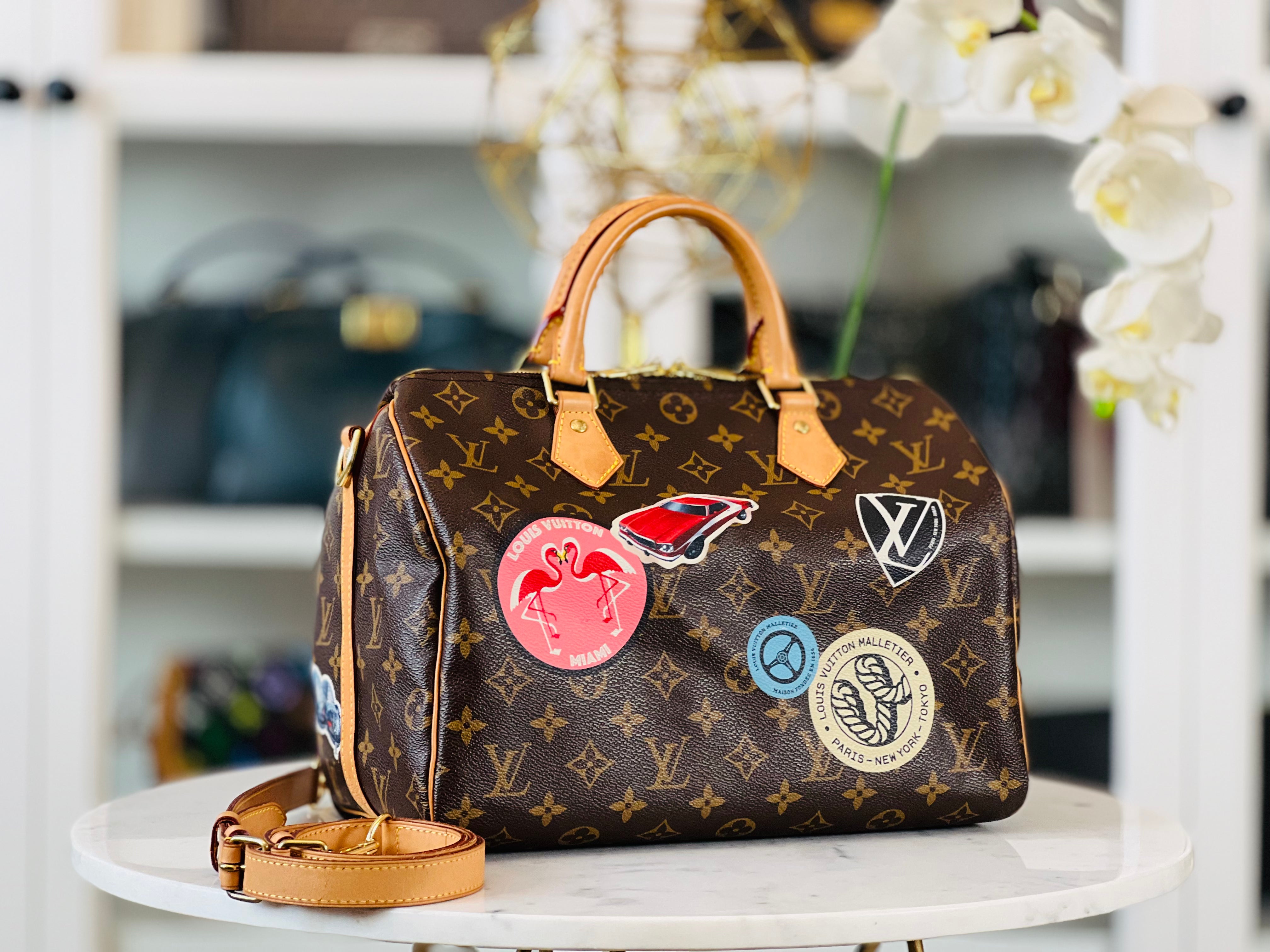 Louis vuitton speedy30 bandouliere world tour