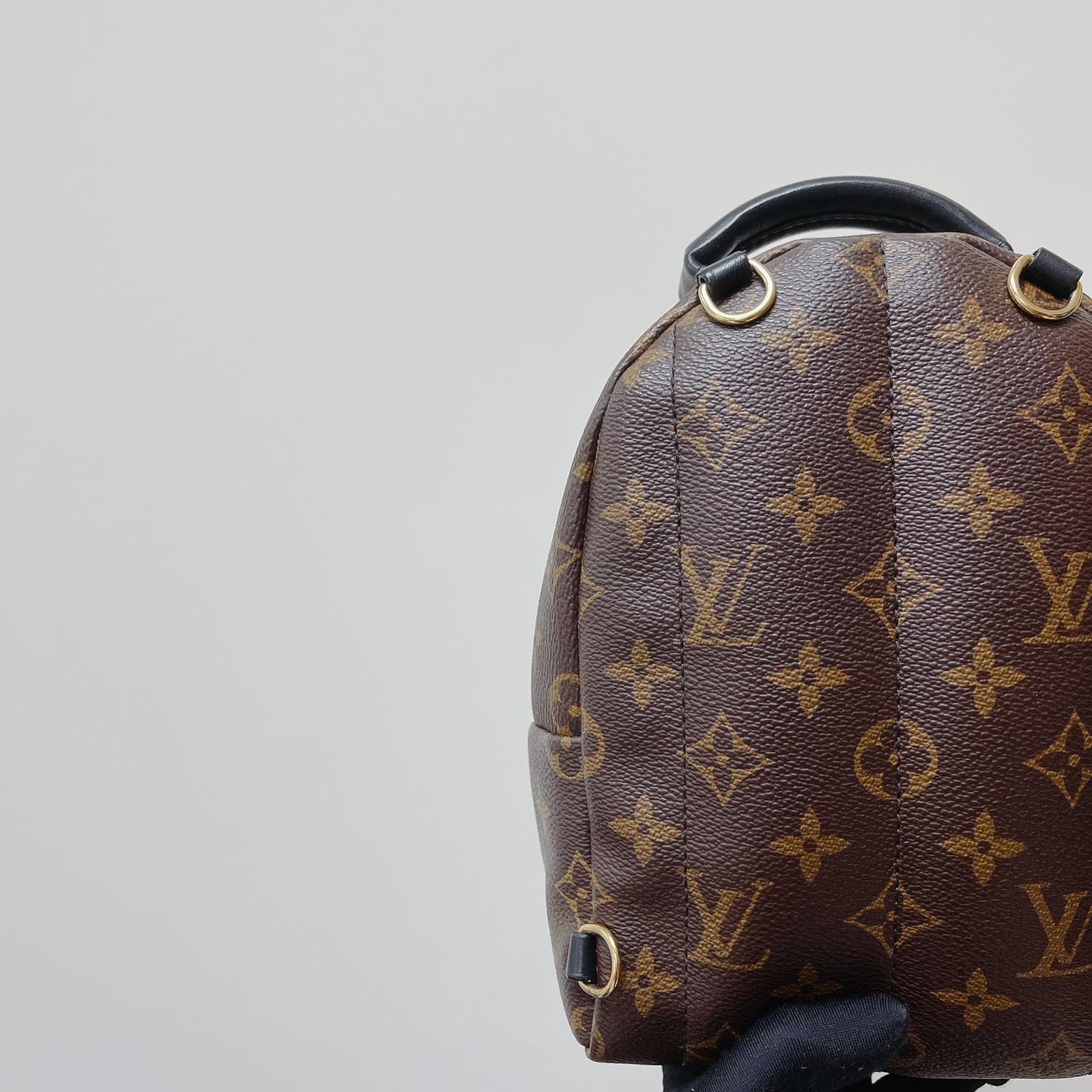 Lv palm spring mini