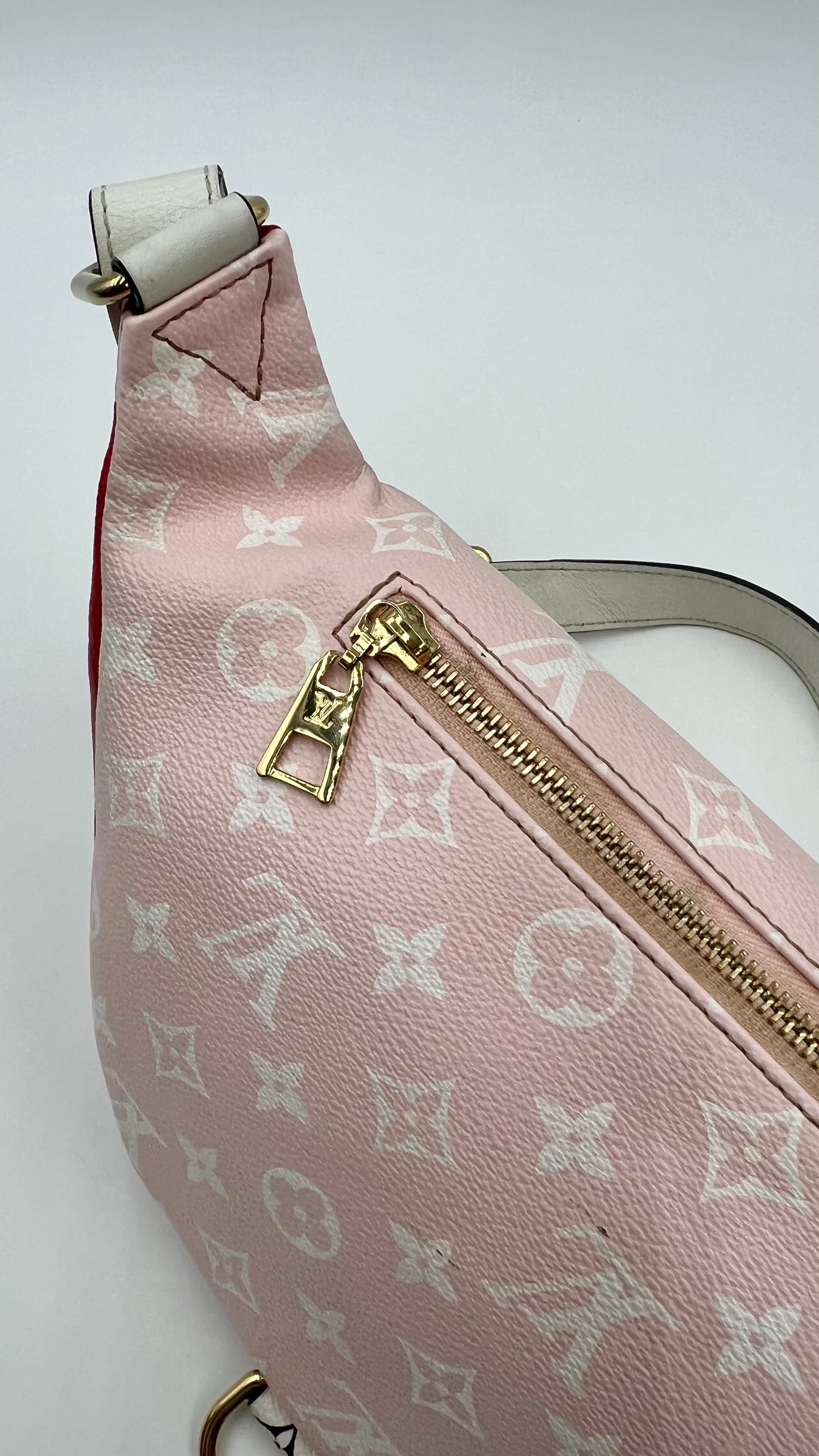 LOUIS VUITTON BUMBAG MONOGRAM GIANT