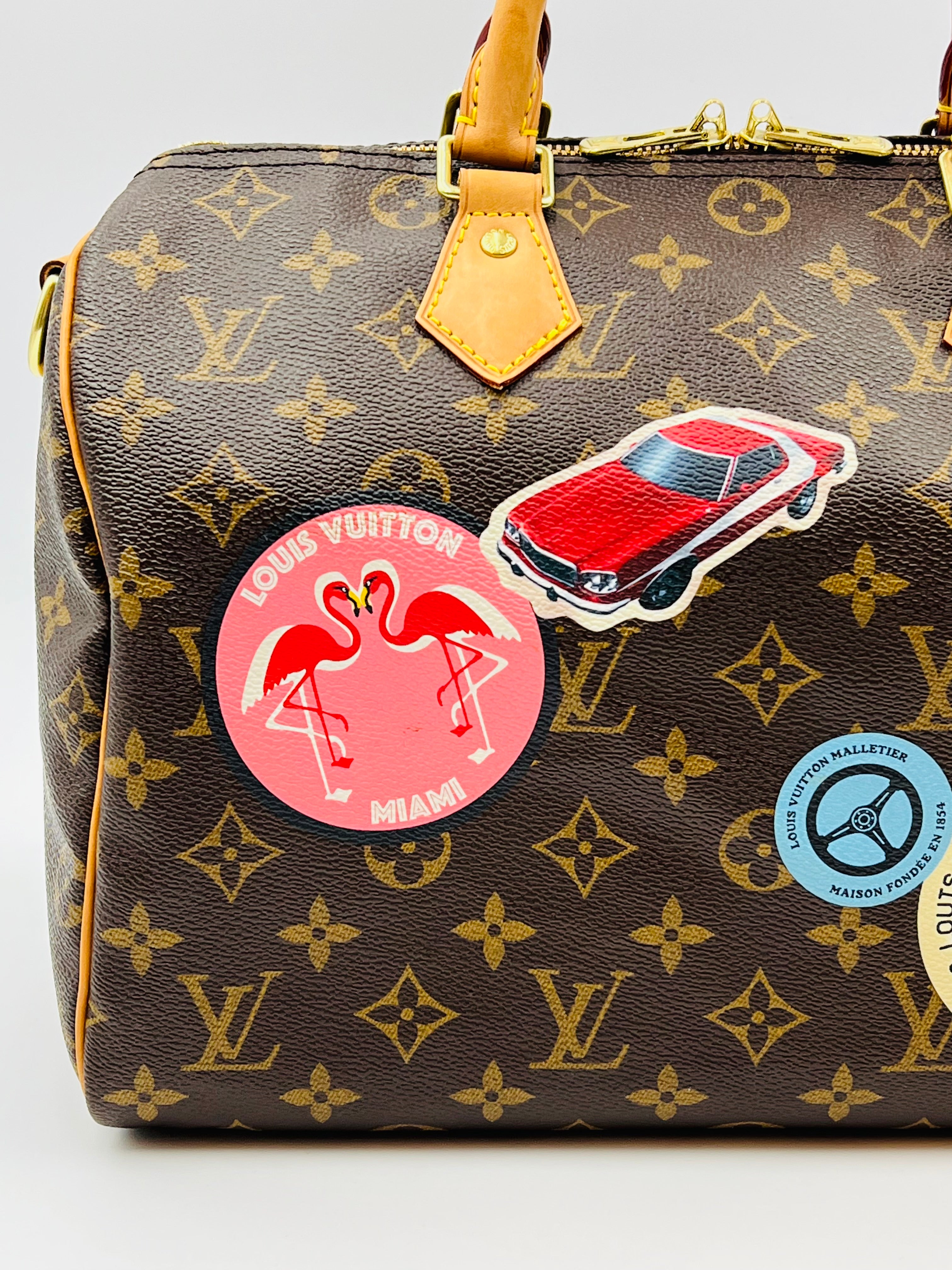 Louis vuitton speedy30 bandouliere world tour