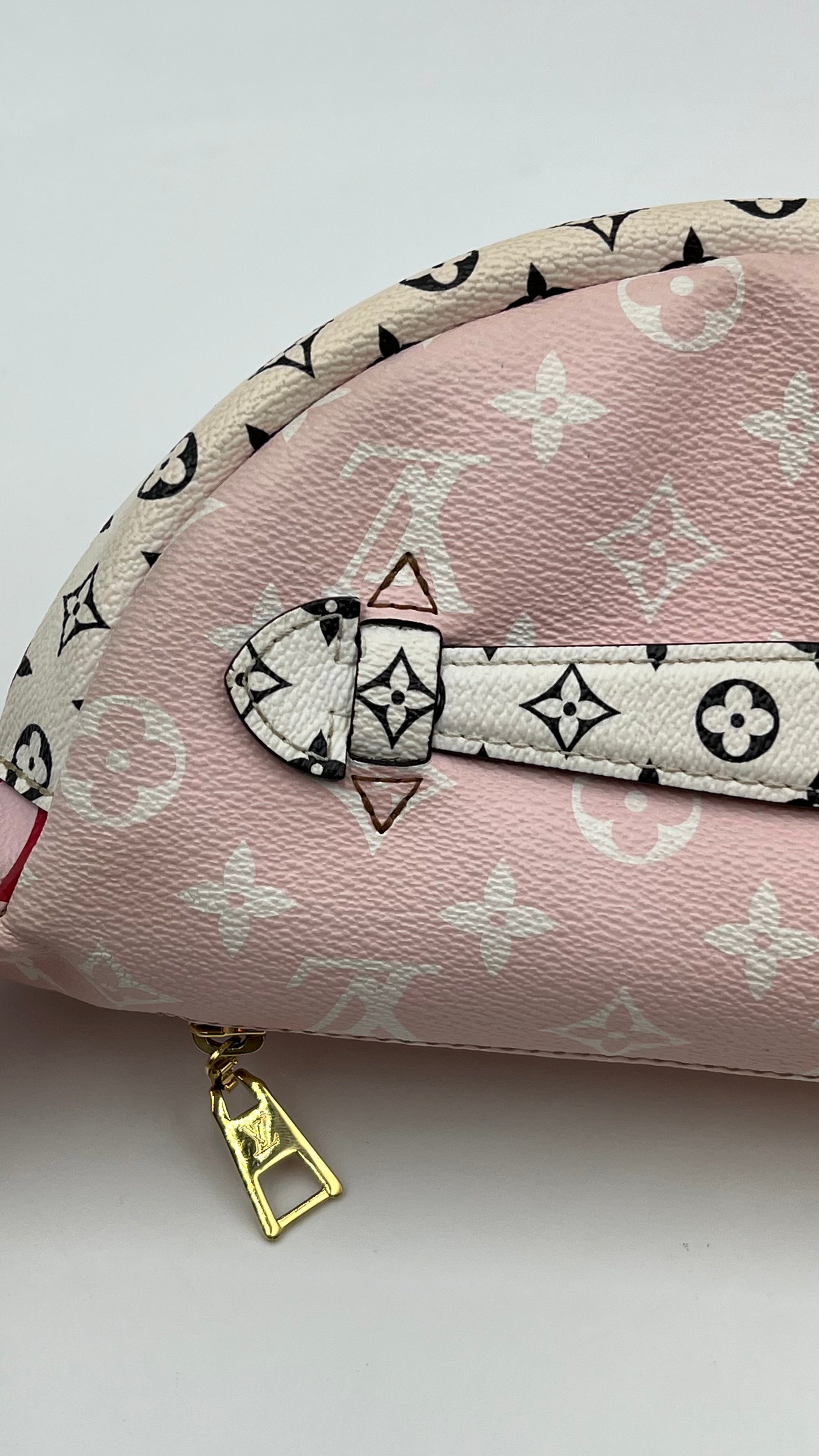 Louis Vuitton Bumbag Giant Monogram Collection