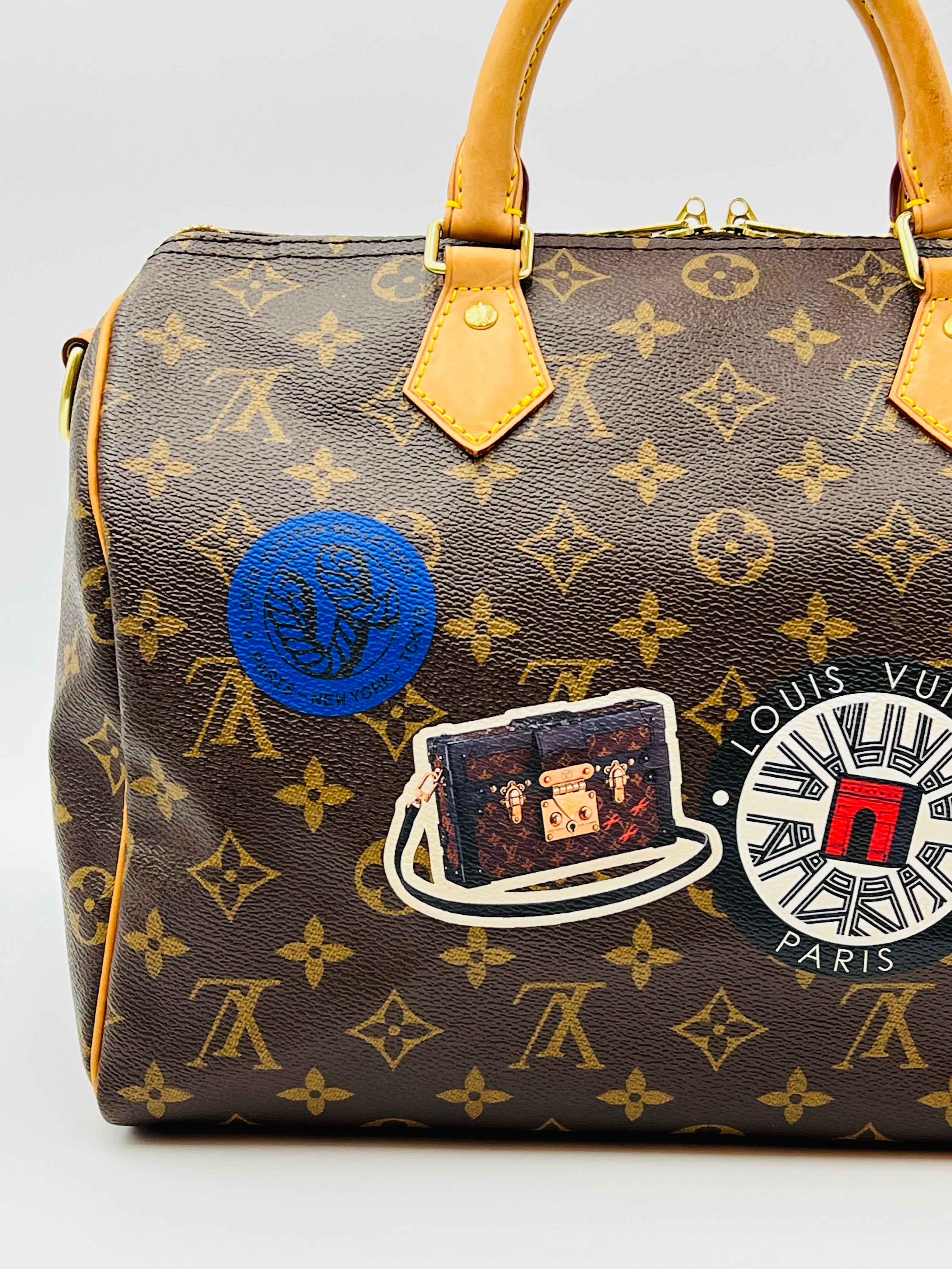 Louis vuitton speedy30 bandouliere world tour