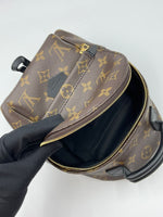 Load image into Gallery viewer, Louis vuitton palm spring mini
