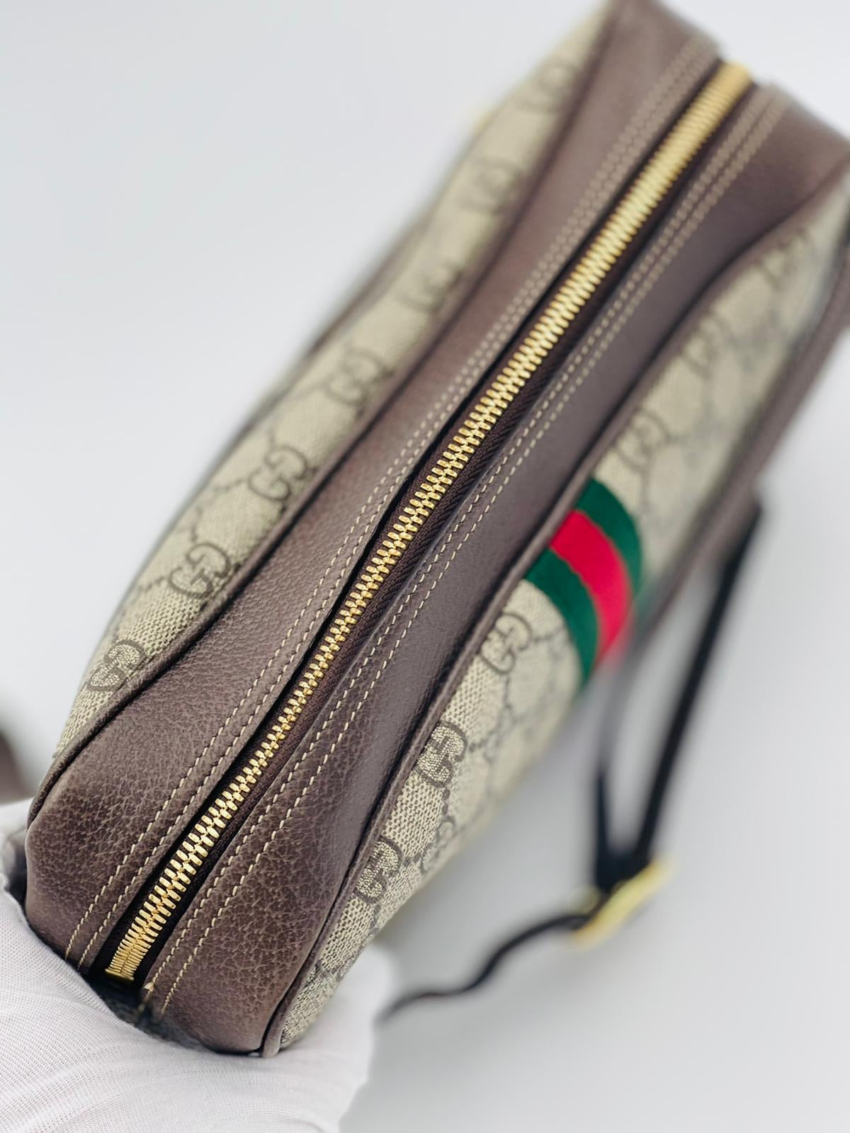 Gucci ophidia crossbody bag