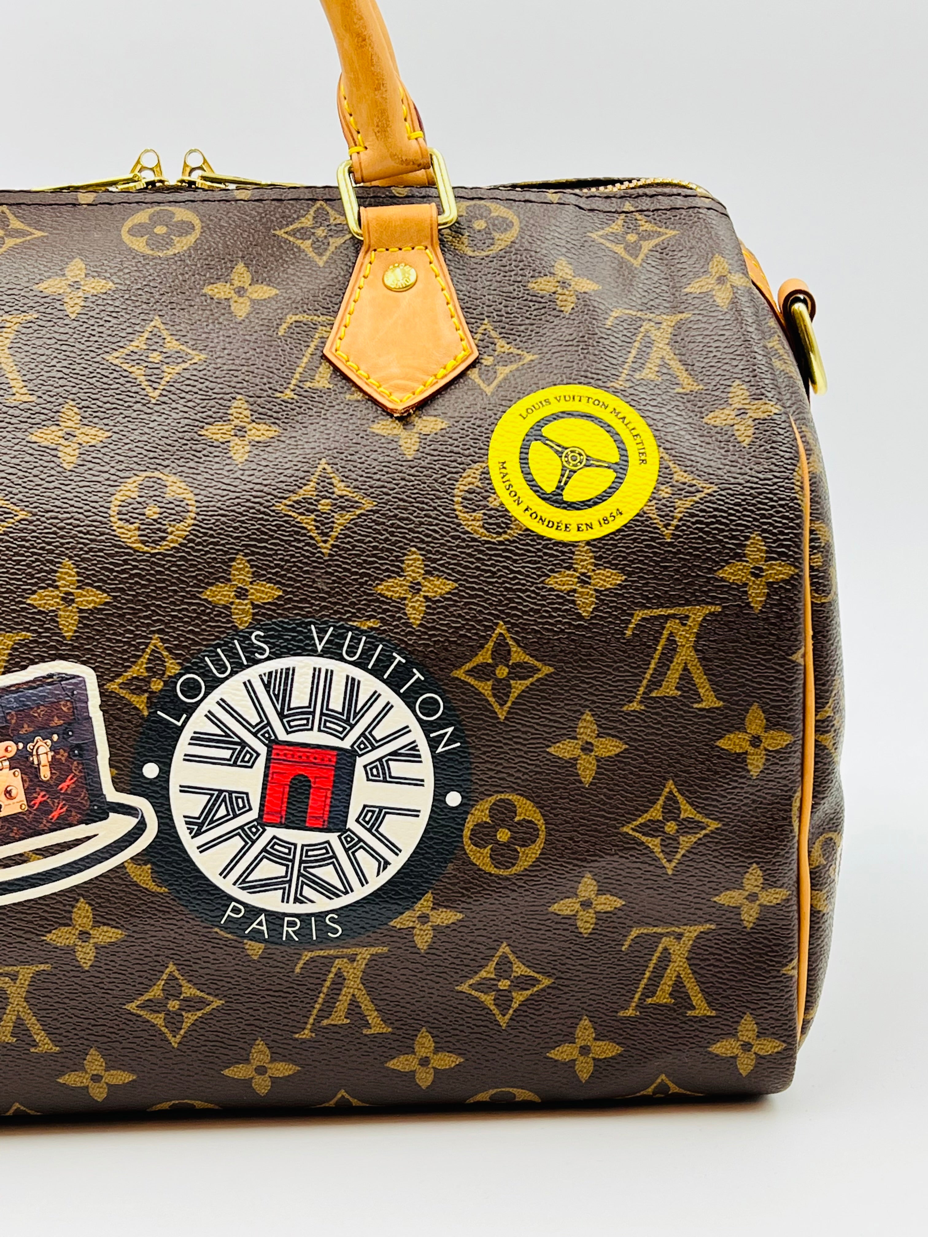 Louis vuitton speedy30 bandouliere world tour