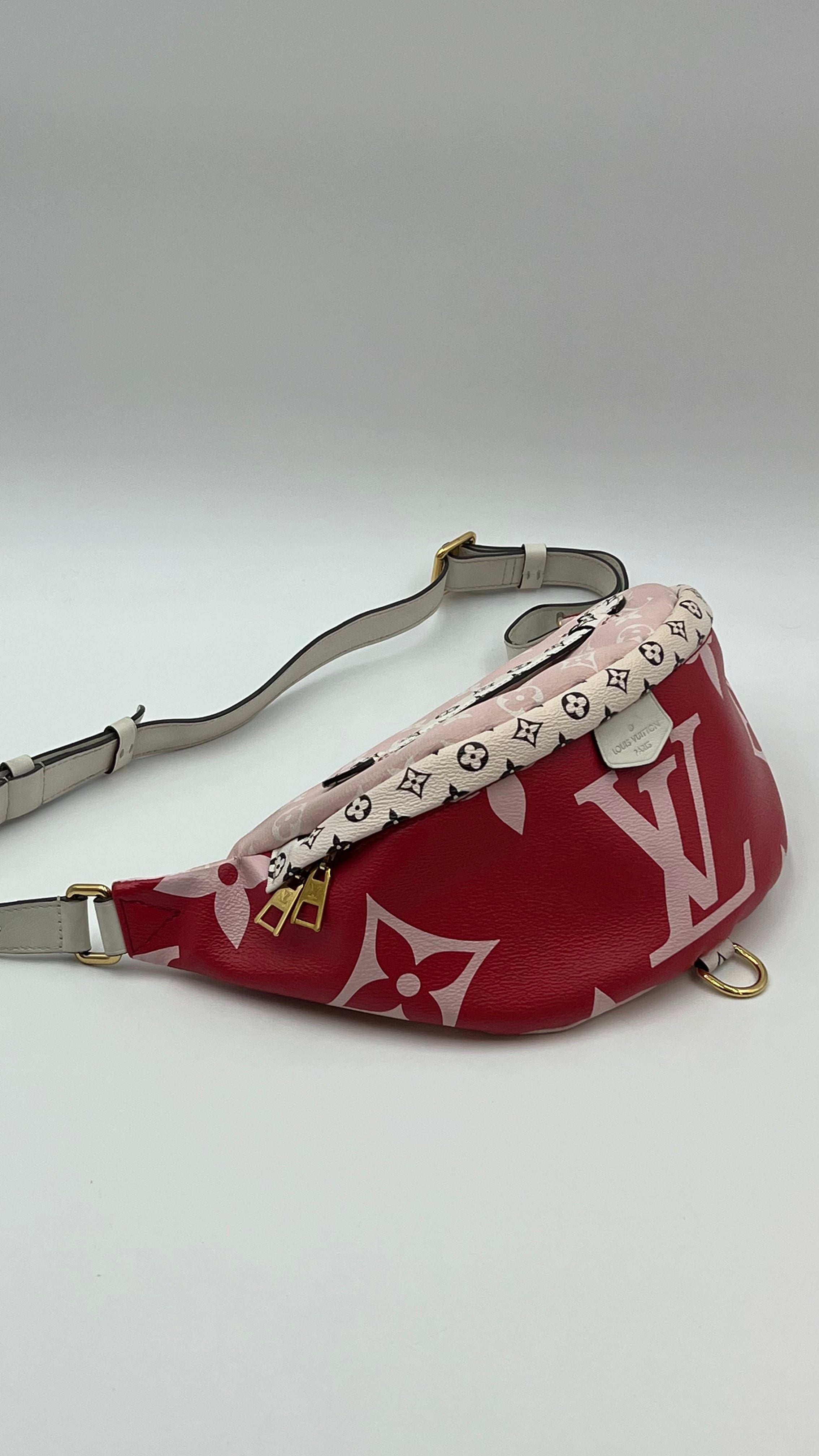 LOUIS VUITTON BUMBAG MONOGRAM GIANT