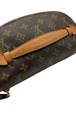 Load image into Gallery viewer, Louis Vuitton Monogram Bumbag
