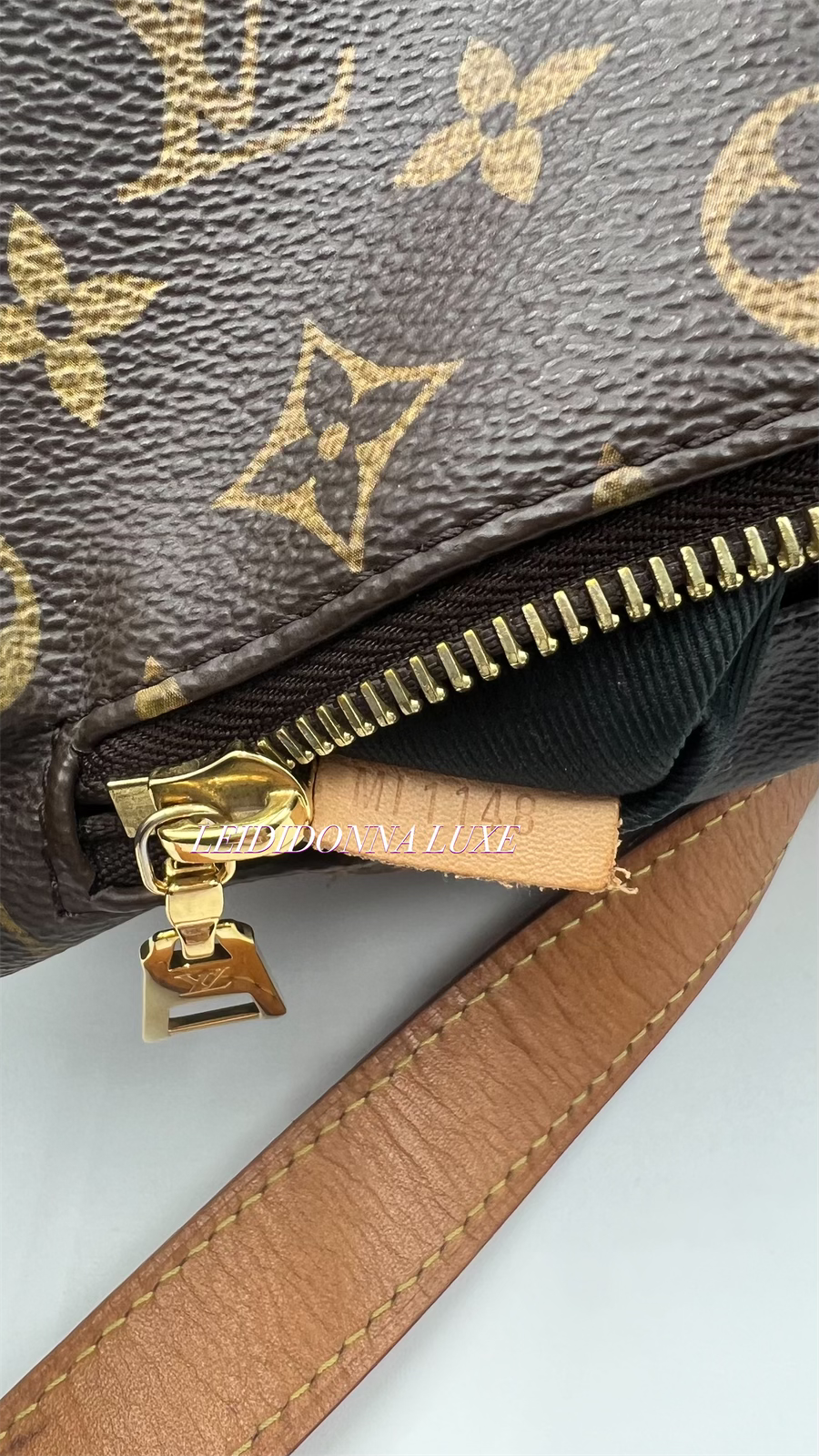 Louis Vuitton Monogram Bumbag