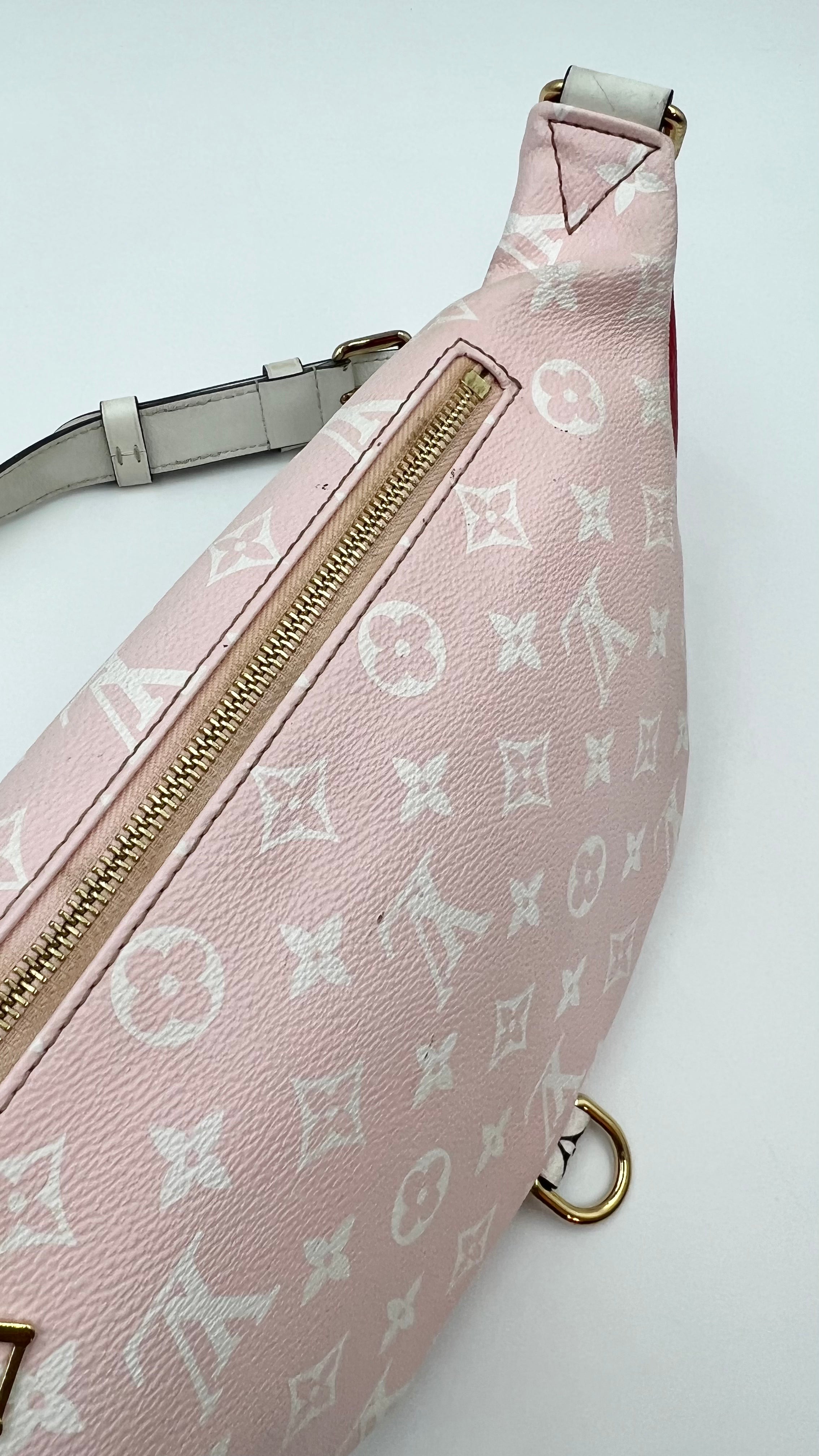 LV BUMBAG 花押字巨型