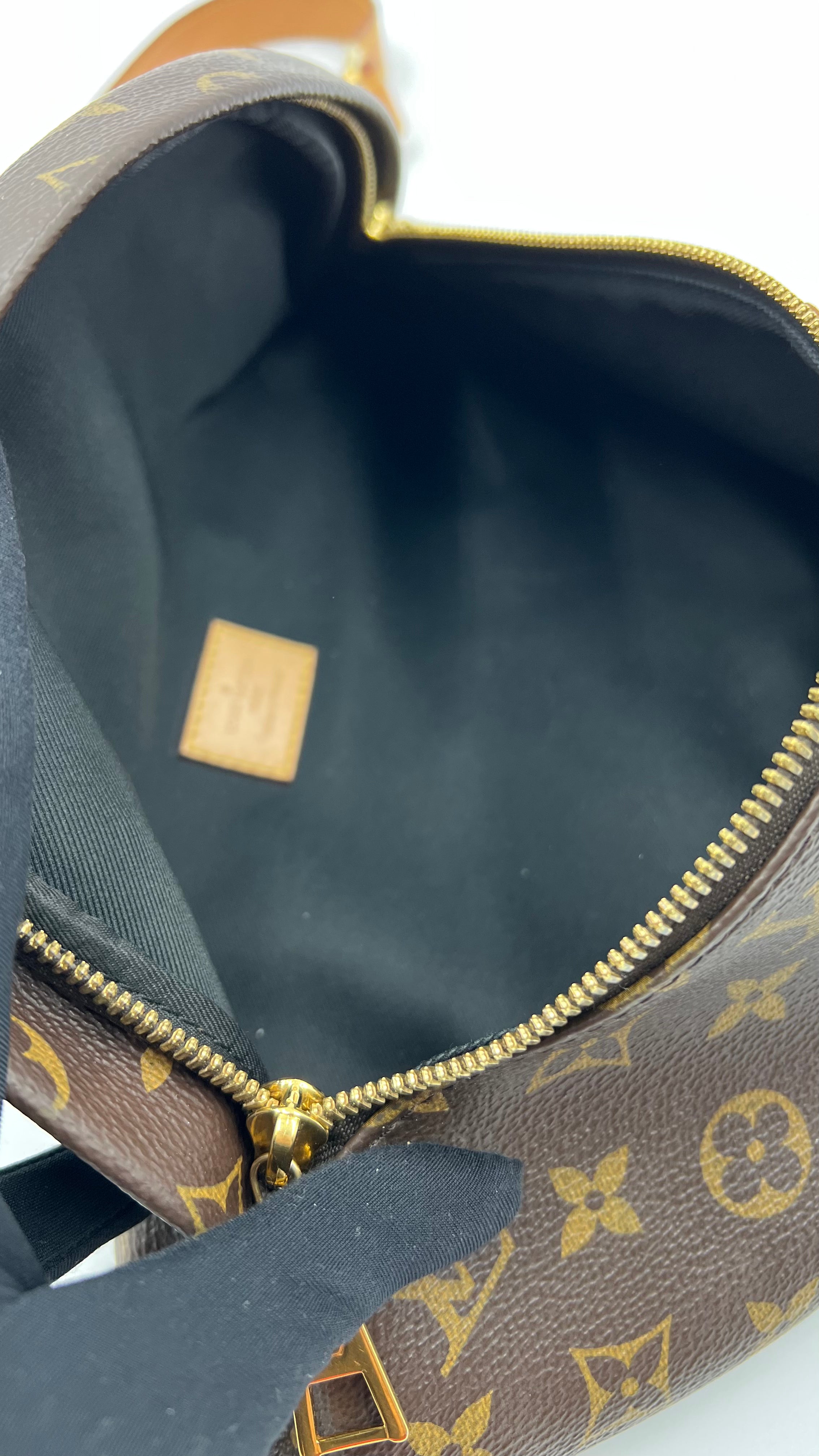 Louis Vuitton Monogram Bumbag